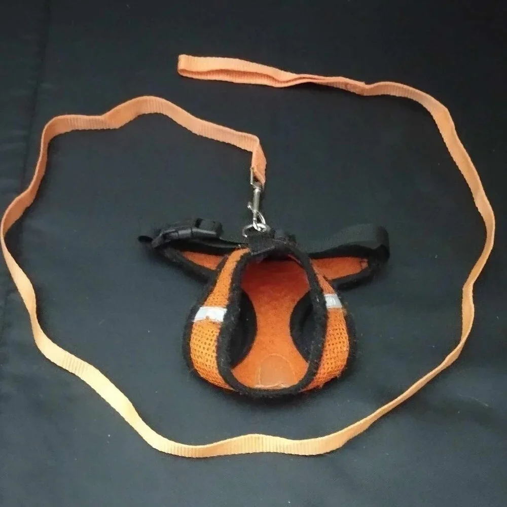 Size Small - Reflective Kitty Cat Harness and 45